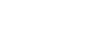 Japan Association of New Economy